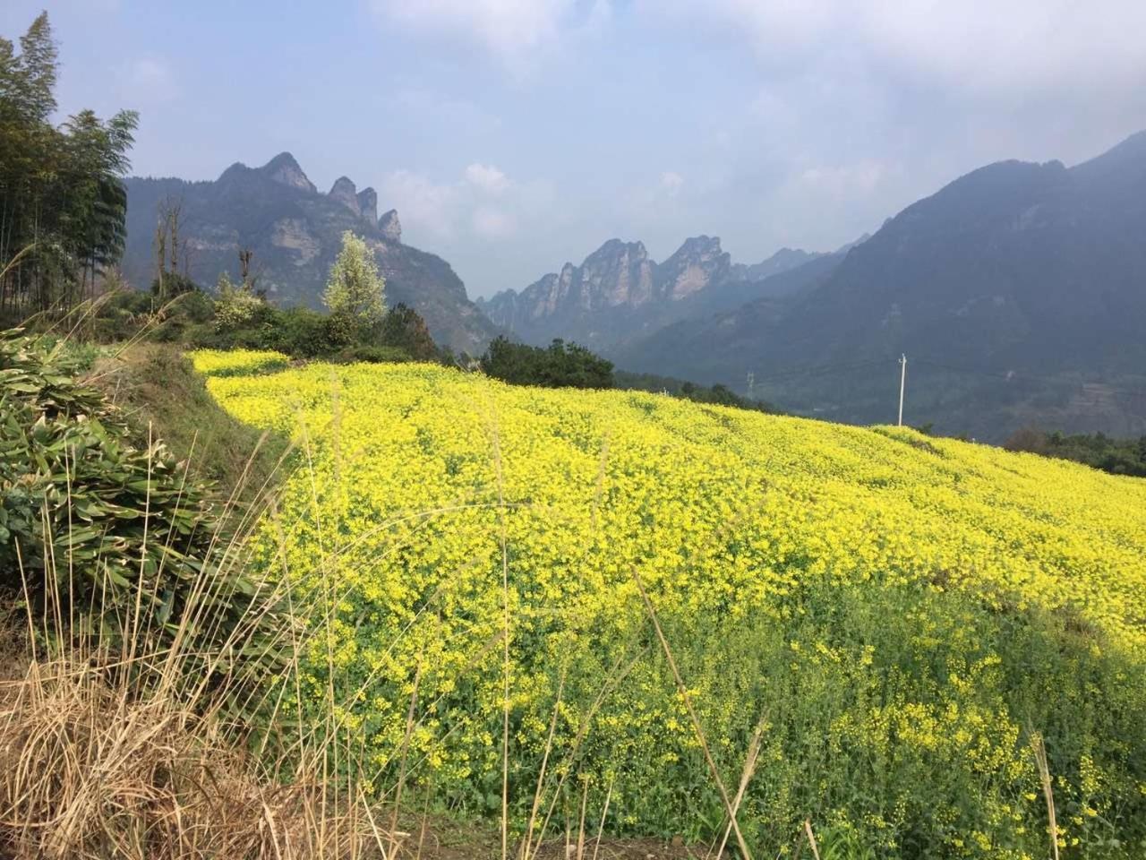 Dayong Antique Feature Resort Чжанцзяцзе Экстерьер фото
