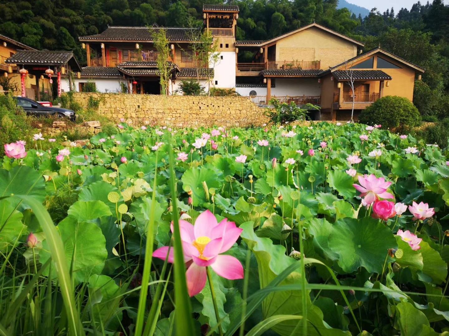Dayong Antique Feature Resort Чжанцзяцзе Экстерьер фото